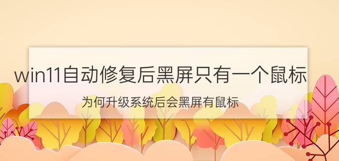 win11自动修复后黑屏只有一个鼠标 为何升级系统后会黑屏有鼠标？